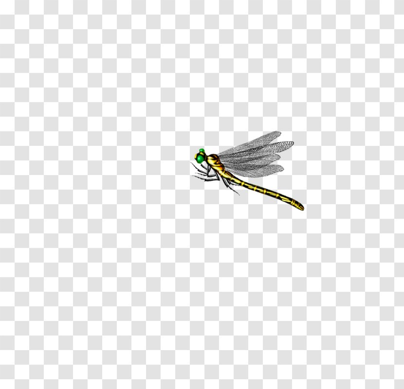 Dragonfly Insect Computer File - Bamboocopter Transparent PNG