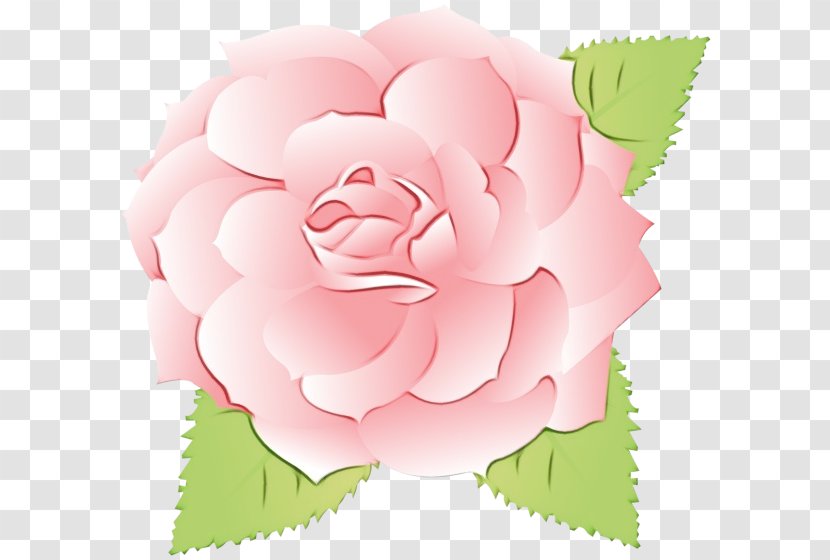 Watercolor Pink Flowers - Rose Order - Camellia Transparent PNG