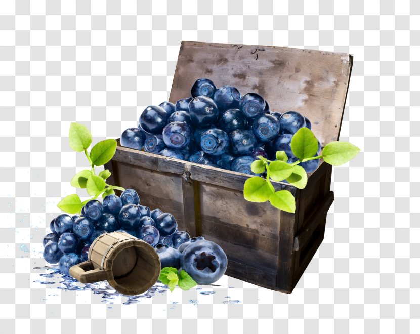 Clip Art - Grape - Blueberry Transparent PNG