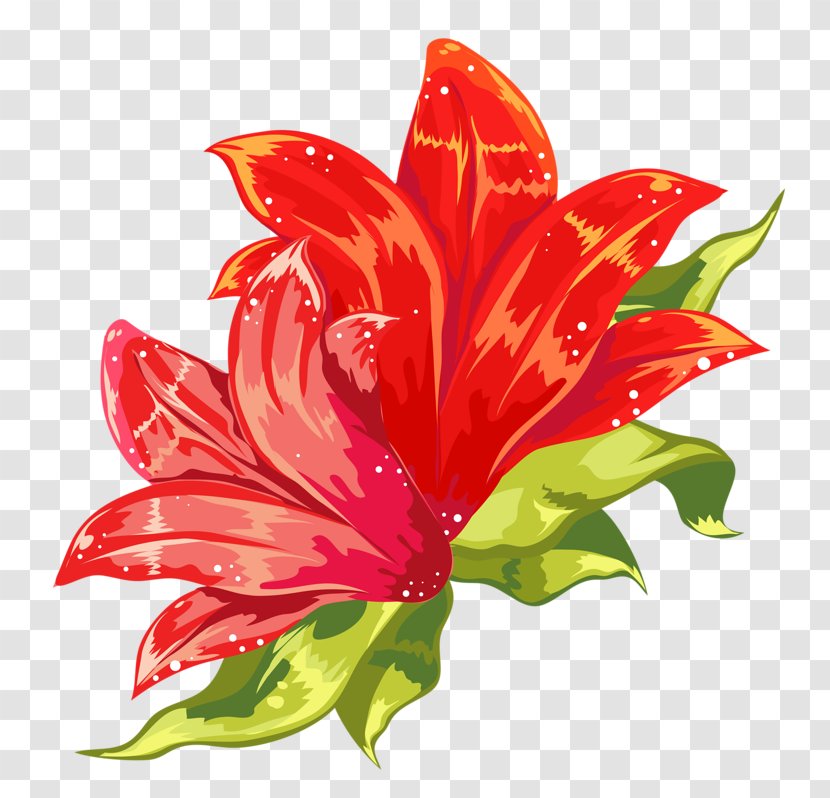 Cut Flowers Plant Clip Art - Petal - Flower Transparent PNG