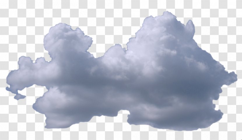 Cumulus Cloud Desktop Wallpaper Sky - Tree Transparent PNG
