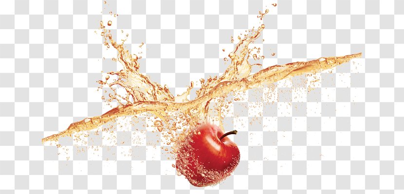 Macintosh Apple Auglis - Fell Into The Water Transparent PNG