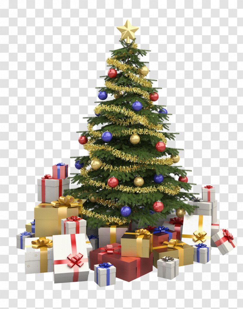 Christmas Tree Stock Photography Decoration - Spruce - Mega Sale Transparent PNG