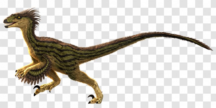 Velociraptor Primal Carnage: Extinction Tyrannosaurus Rage - Tail - Bearded Dragon Transparent PNG