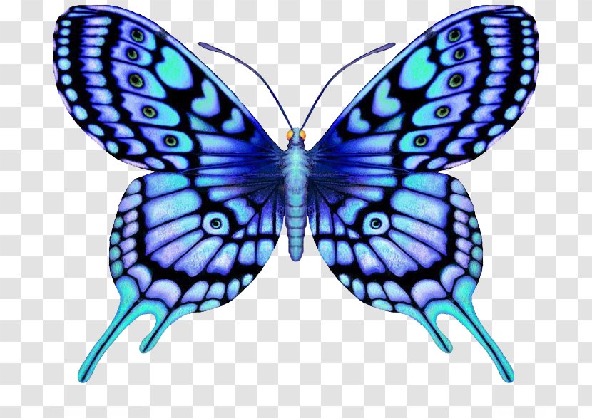 Butterfly Tattoo Large Blue Color - Wrist - Supernatural Transparent PNG