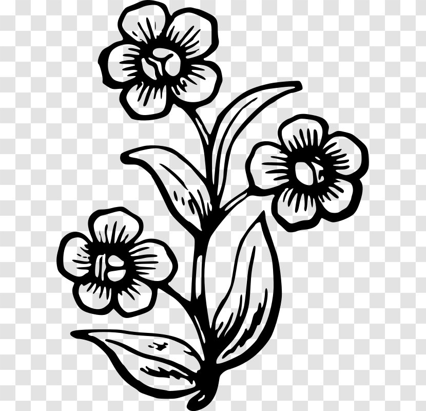 Wildflower Drawing Painting - Tree - Flower Transparent PNG