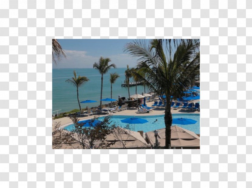 Resort Swimming Pool Vacation Property - Caribbean Transparent PNG