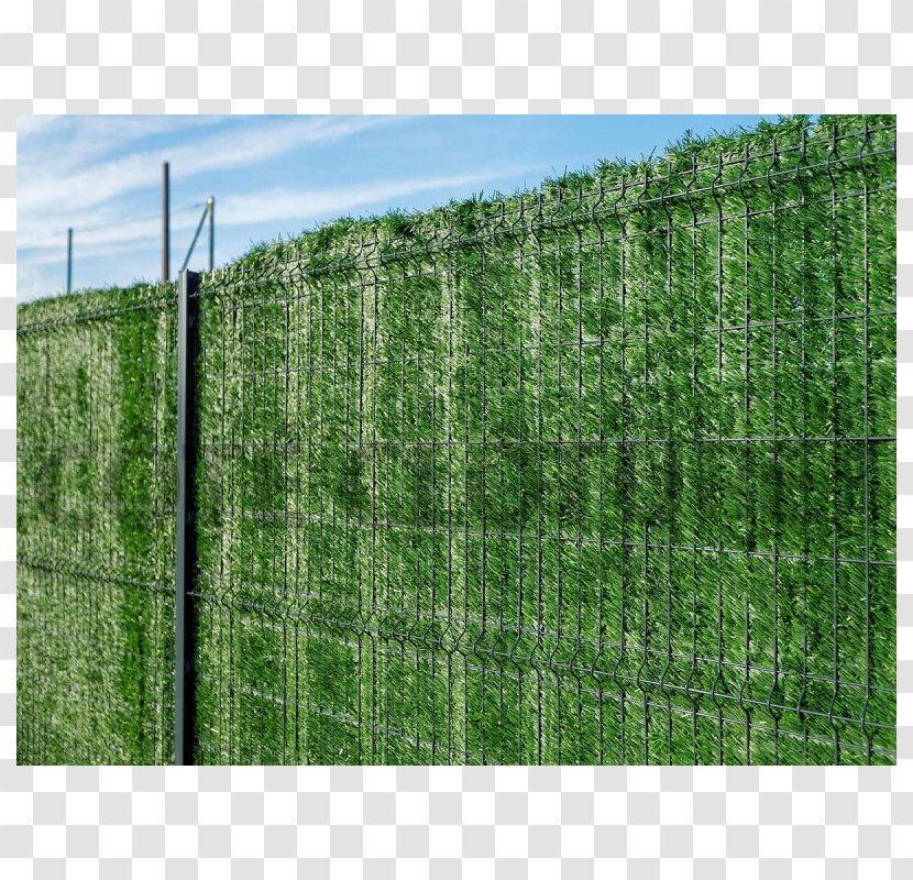 Hedge Chicken Wire Fence Trellis Garden Transparent PNG