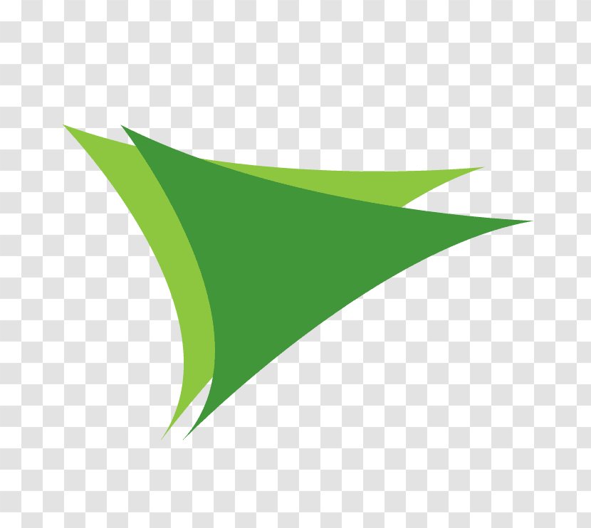 Green Line Leaf Transparent PNG