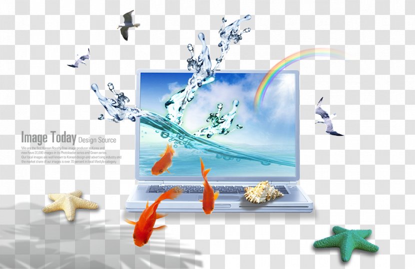 Laptop Download Computer Monitor - Digital Cameras Transparent PNG