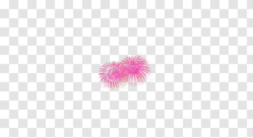 Petal Computer Pattern - Fireworks Transparent PNG