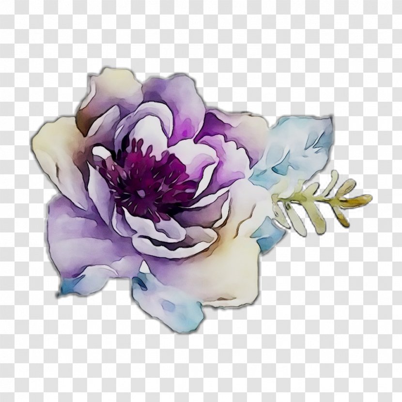 Peony Cut Flowers Rose Family - Violet Transparent PNG