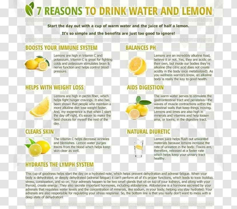 Lemon Juice Tea Drinking - Text - Diet Detox Transparent PNG