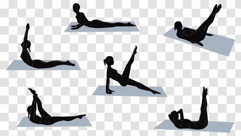 Pilates Physical Exercise Core Stability Strength Training - Arm - Excersice Transparent PNG