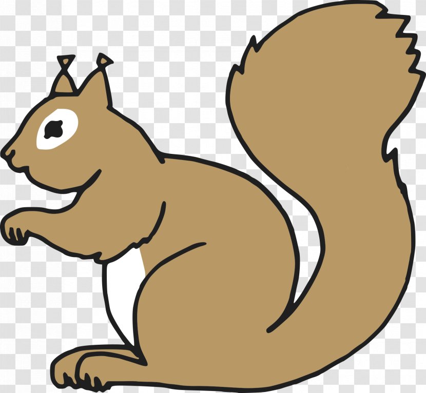 Squirrel Vector Graphics Image - Carnivoran - Artwork Transparent PNG