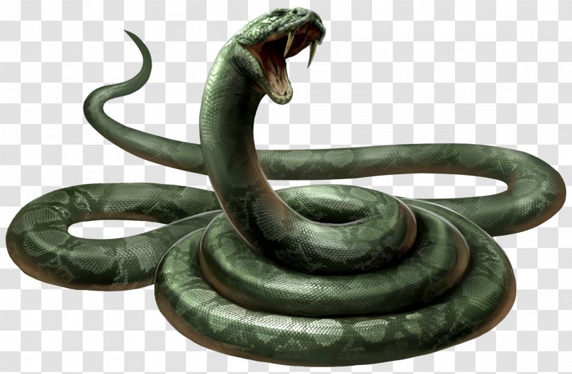 Lord Voldemort Harry Potter Professor Severus Snape Snake Neville Longbottom - Reptile - Anaconda Transparent PNG
