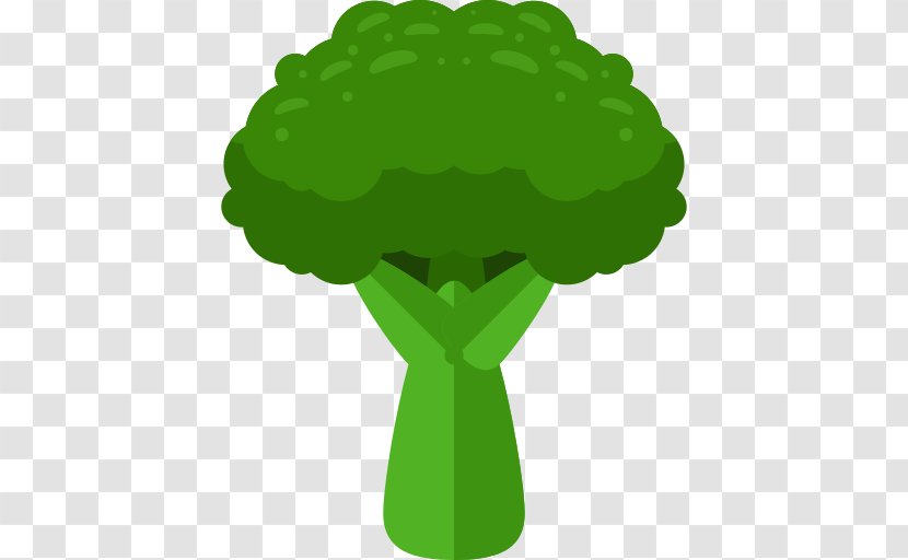 Broccoli Vegetable - Cruciferous Vegetables Transparent PNG