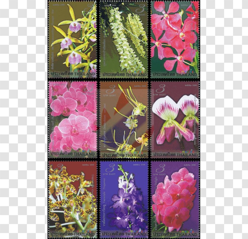 Floral Design Pink M RTV Flowering Plant Transparent PNG