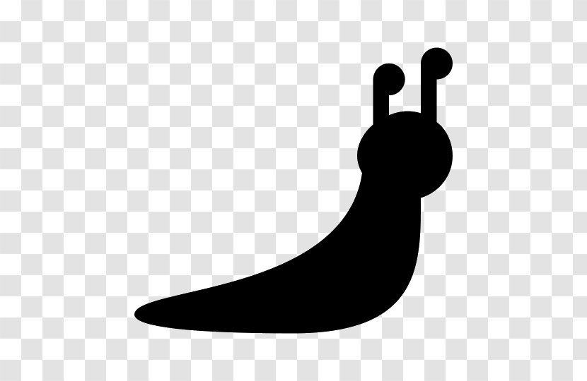 Slug Mantle Snail Clip Art Transparent PNG