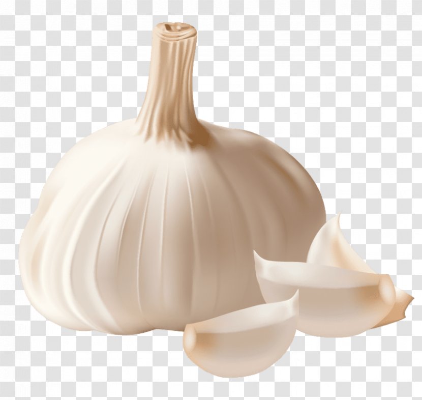 Garlic Bread Clip Art Knot Spice - Onion Transparent PNG