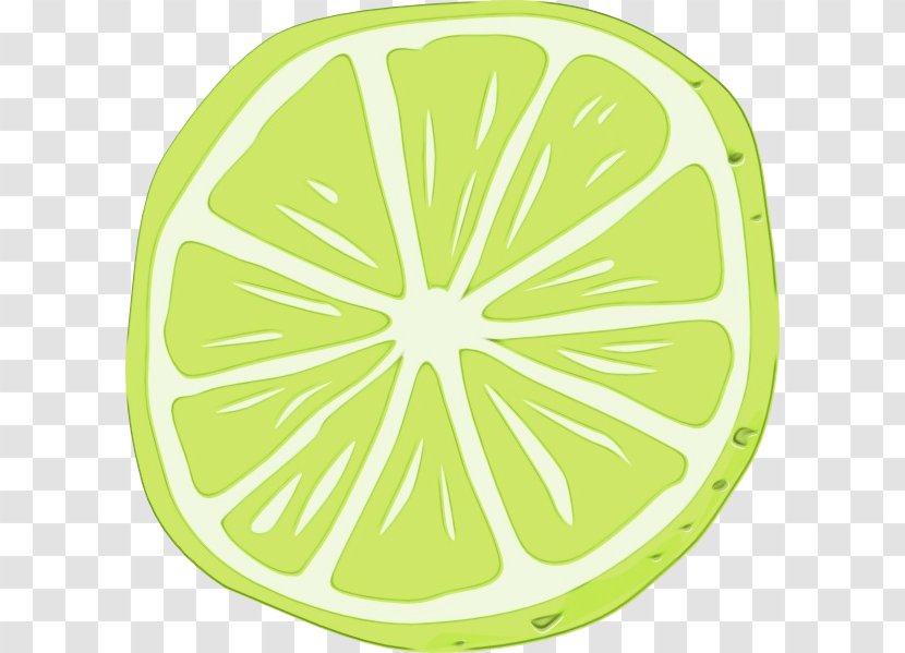 Green Citrus Yellow Lemon Leaf - Fruit Plant Transparent PNG