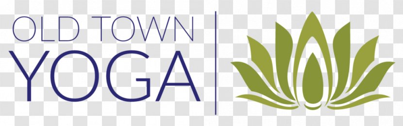 Logo Green Font Brand Grasses - Tree - Yoga Training Transparent PNG