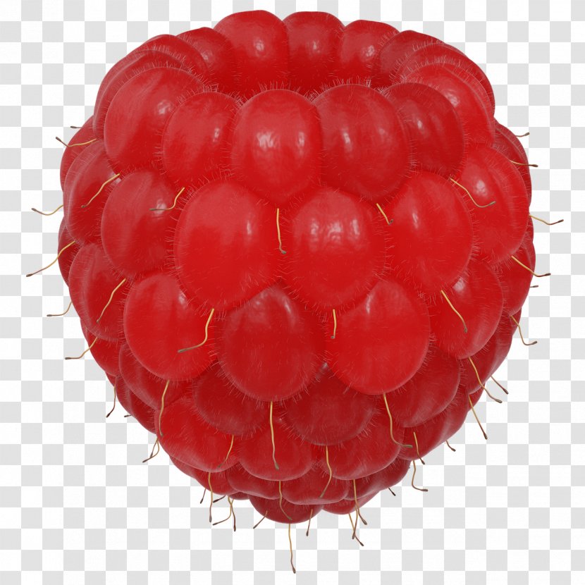 Red Raspberry Auglis Fruit Transparent PNG