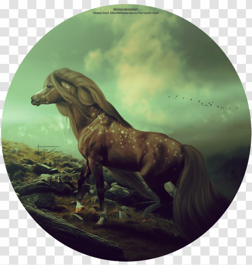 DeviantArt Thumbnail Mustang How You Remind Me - Horse - Art Transparent PNG
