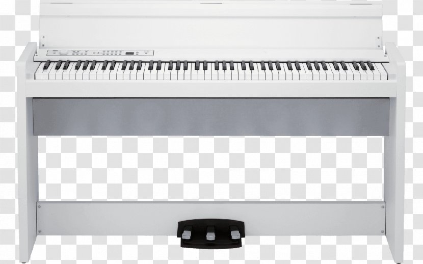 KORG LP-380 Digital Piano Keyboard - Tree - Salon Christophori Transparent PNG