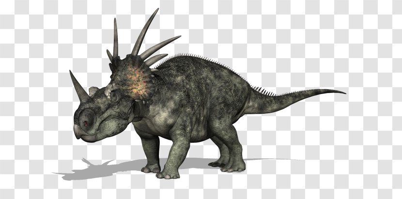 Styracosaurus Drawing Photography Transparent PNG