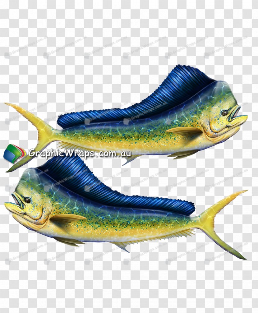 Sardine Shoe - Shirt Ideas Transparent PNG