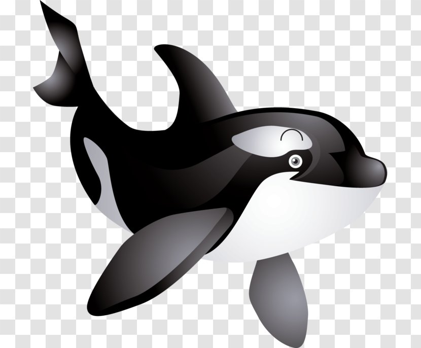 The Killer Whale Cetacea Humpback Clip Art - Mammal - Penguin Transparent PNG