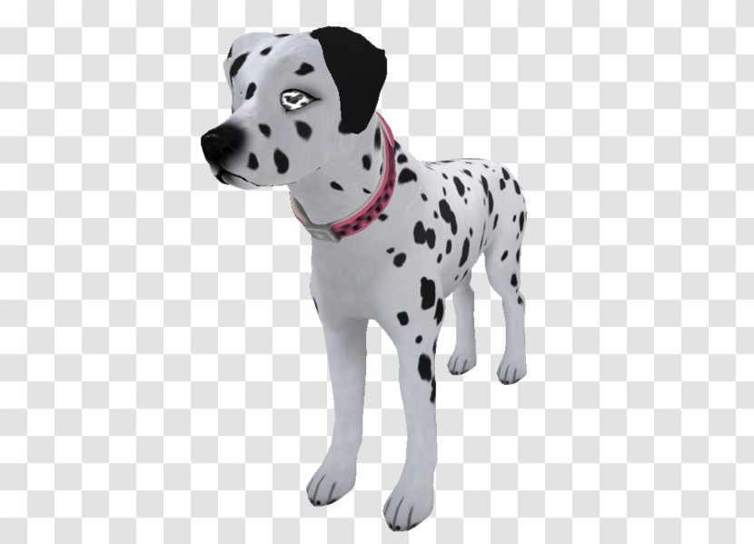 Dalmatian Dog Puppy Breed Companion Non-sporting Group Transparent PNG