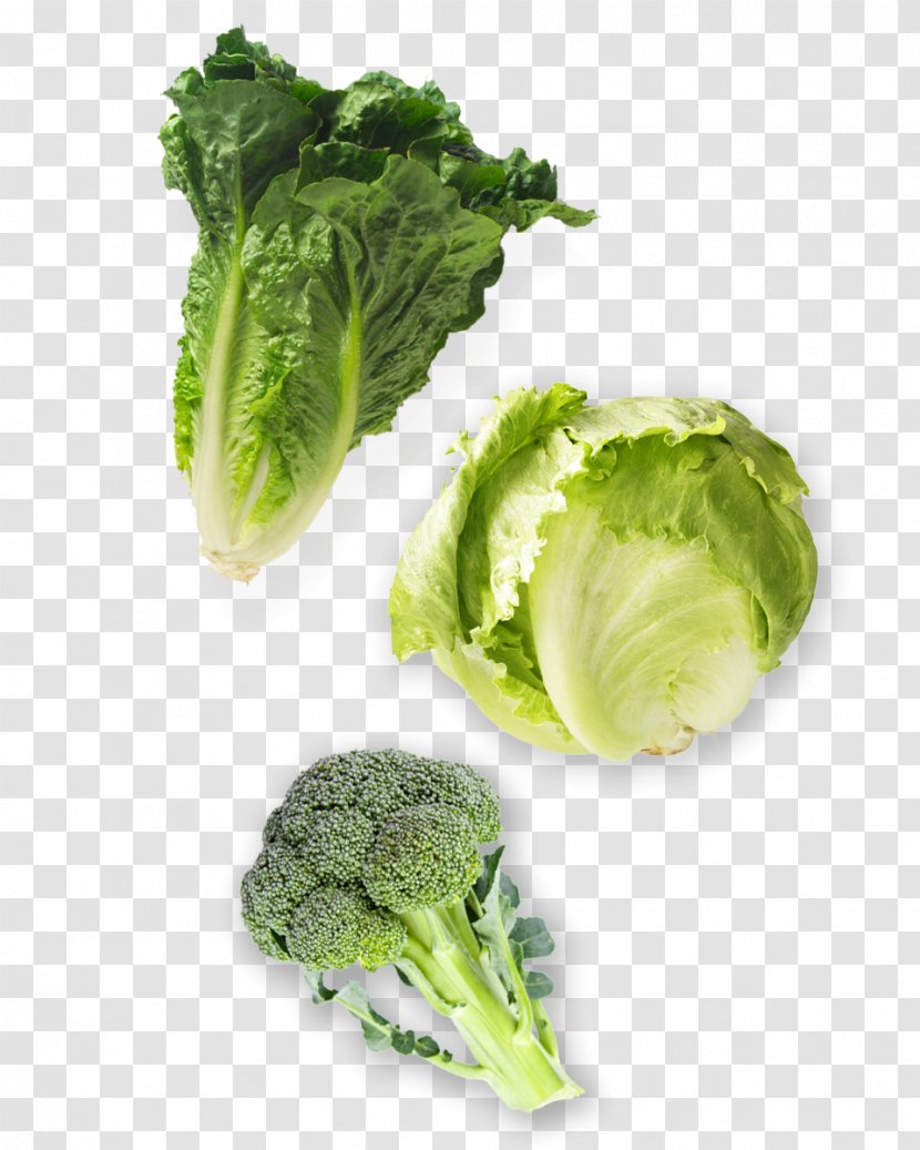 Romaine Lettuce Salinas Valley Strike Of 1934 Broccoli Transparent PNG