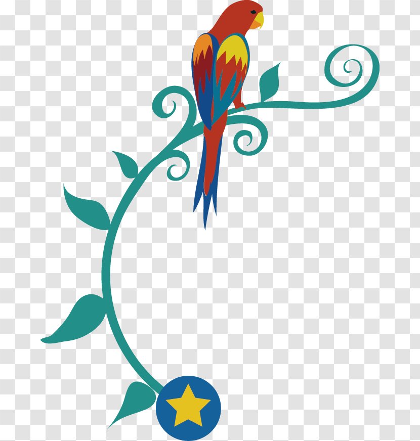Macaw Bird Parrot Clip Art - Beak Transparent PNG
