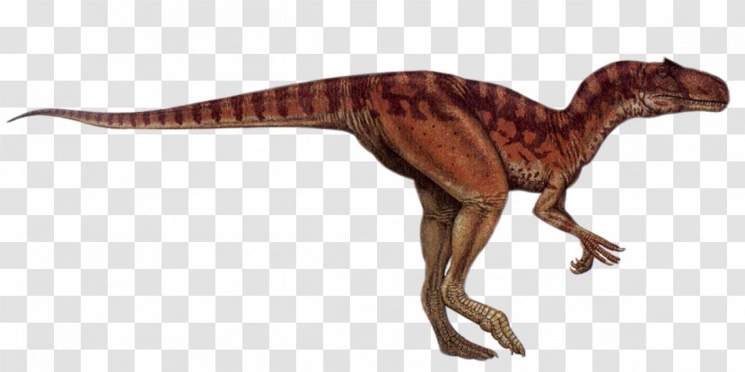 Allosaurus Tyrannosaurus Dinosaur Afrovenator Parasaurolophus - Animal - Creative Transparent PNG