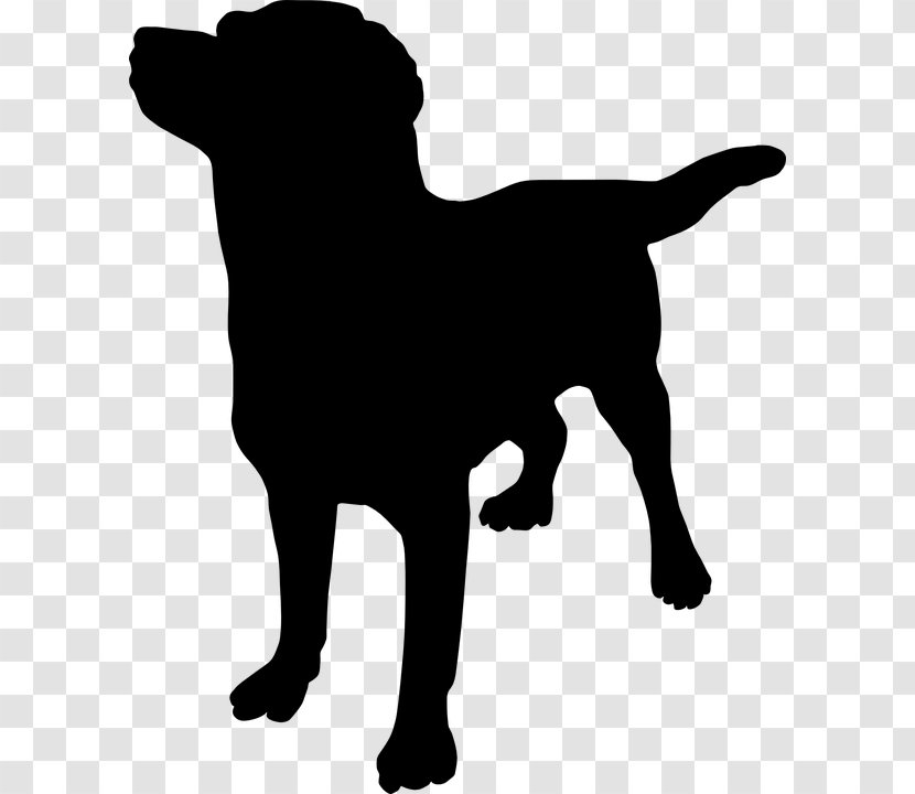 French Bulldog Great Dane Puppy Rottweiler How To Massage Your Dog Transparent PNG