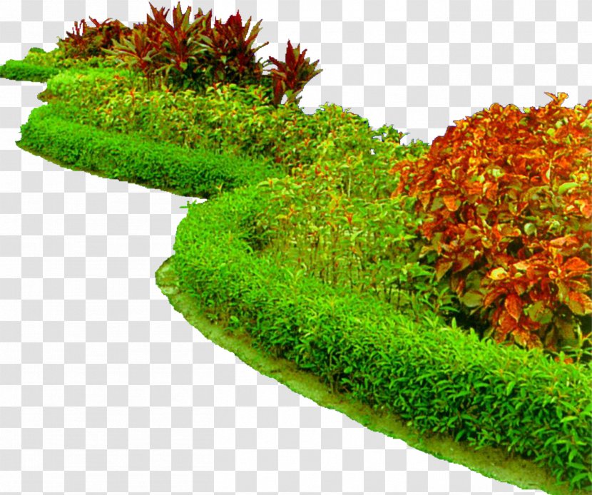 Garden Icon - Flower - Beds And Gardens Transparent PNG