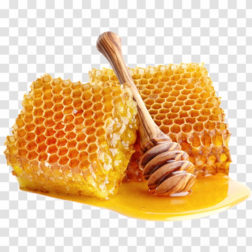 Honey Bee Food Sweetness - Organic Transparent PNG