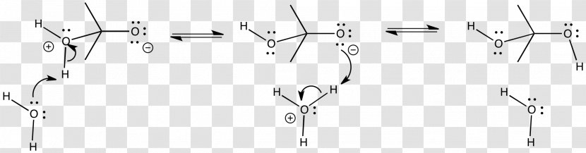 Geminal Diol Hydroxy Group Chemistry - Atom - Meniscus Transparent PNG
