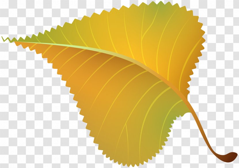 Leaf Yellow Clip Art Plant Line - Flower Transparent PNG