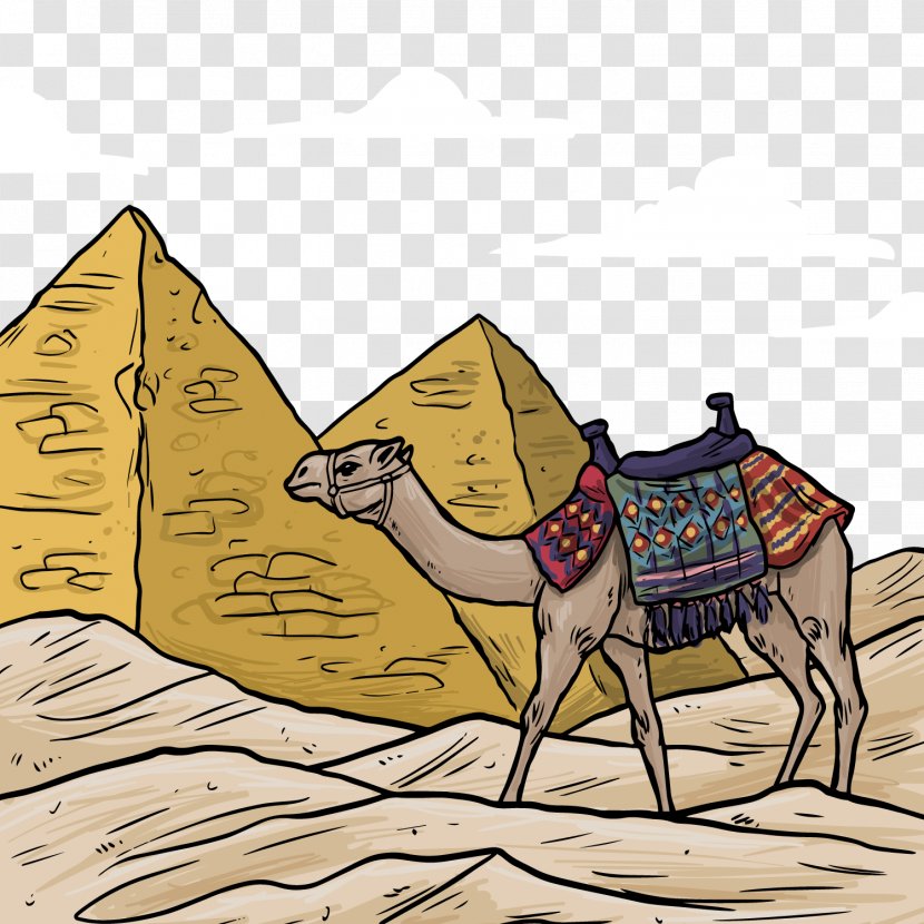 Egyptian Pyramids Bactrian Camel Ancient Egypt Drawing Illustration - Pyramid - And Colored Vector Material Transparent PNG