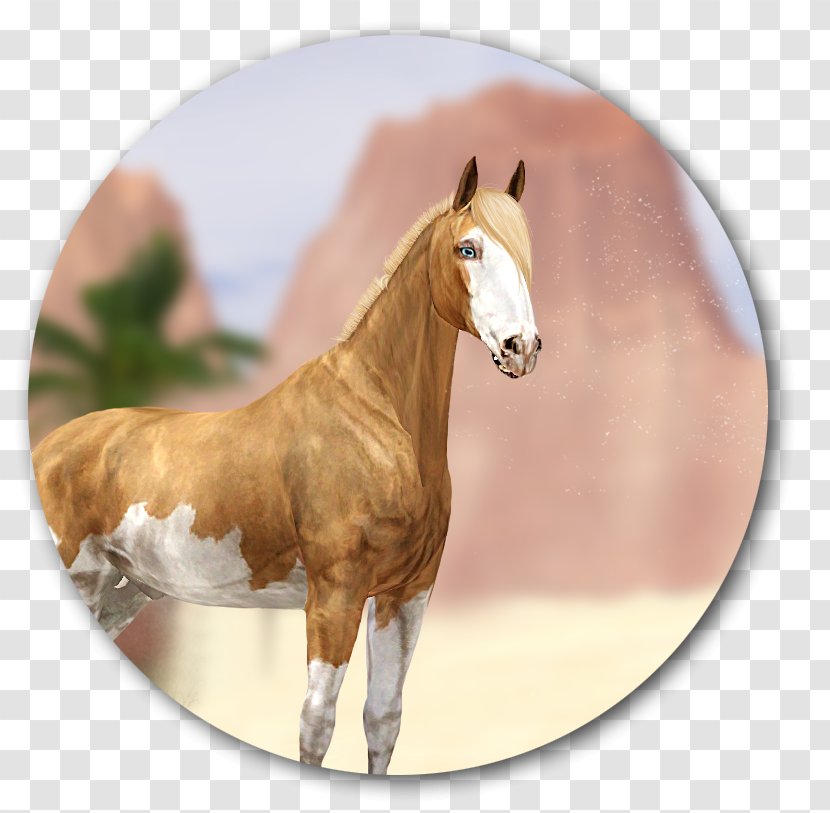 Foal Mustang Stallion Mare Colt - Horse Transparent PNG
