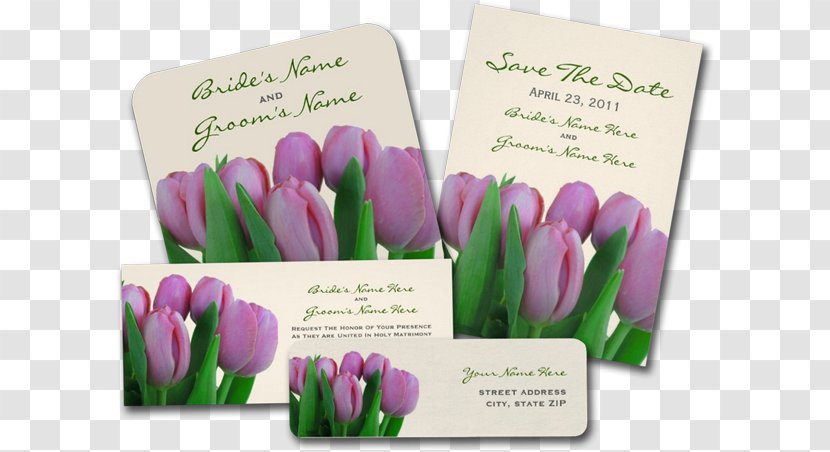 Tulip Cut Flowers Petal - Pink Invitation Transparent PNG