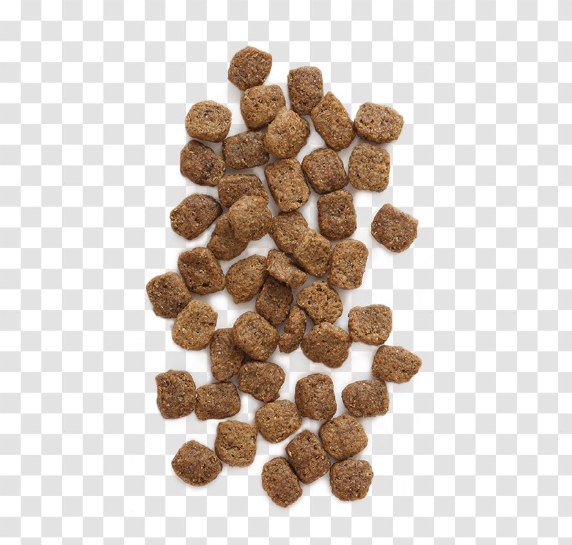 Dog Food Cat - Meat - Grain And Oil Transparent PNG