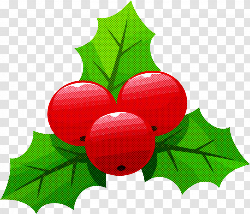 Holly Christmas Christmas Ornament Transparent PNG