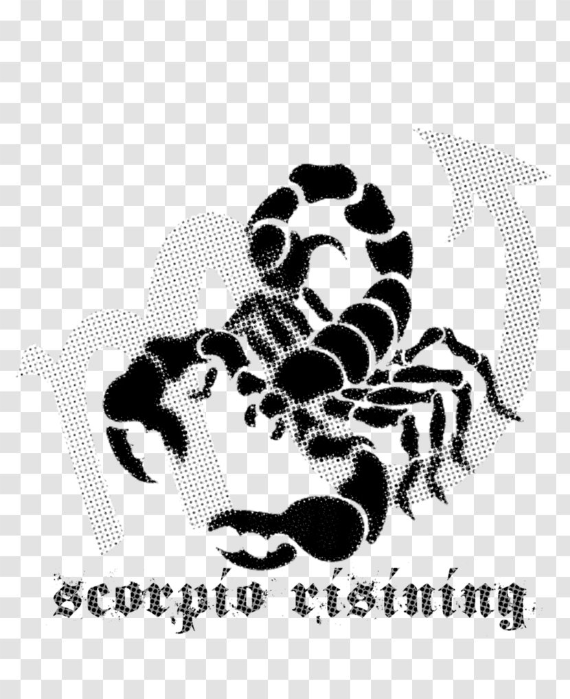 Scorpion Vector Graphics Clip Art Image Illustration - Black And White Transparent PNG