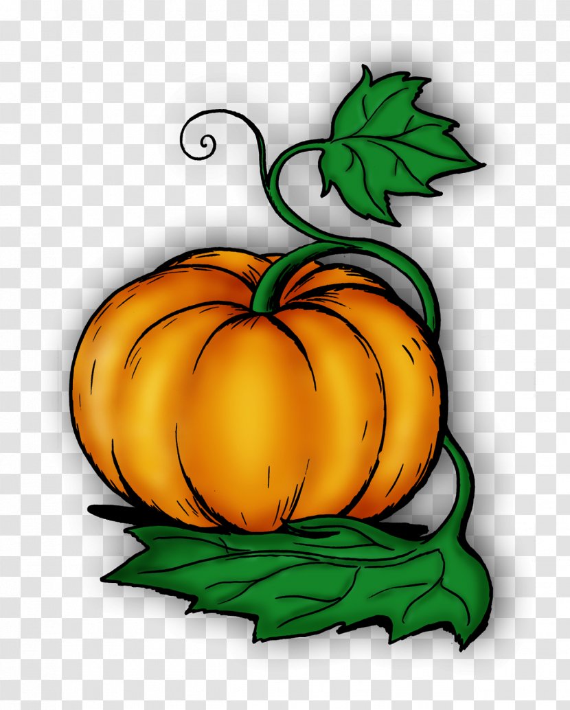 Jack-o'-lantern Gourd Winter Squash Pumpkin Calabaza - Tree Transparent PNG