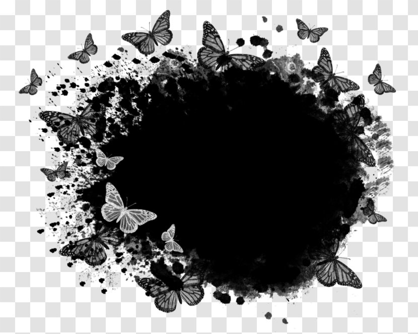 Butterfly NCT #127 Limitless Photography - Effect Transparent PNG