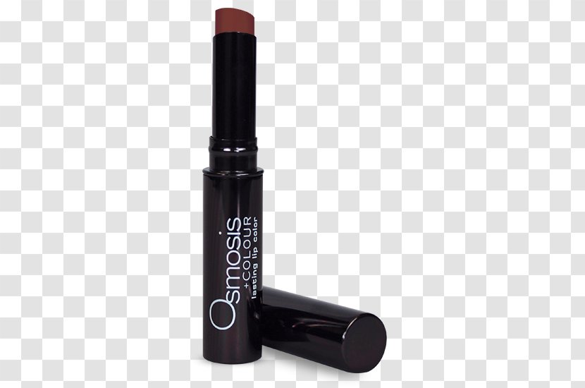 Lipstick Color Lip Liner Balm Transparent PNG